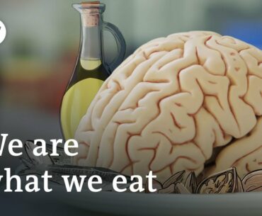Better brain health | DW Documentary
