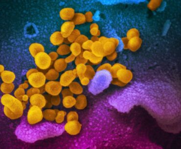 New images of coronavirus released