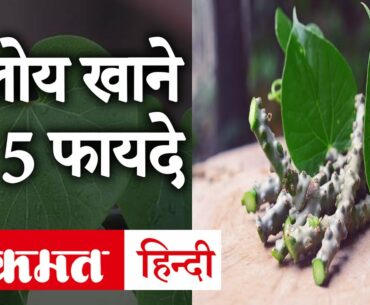 Coronavirus Diet Tips: गिलोय खाने से बढ़ती है Immunity Power, जानें इसके अनेक फायदे