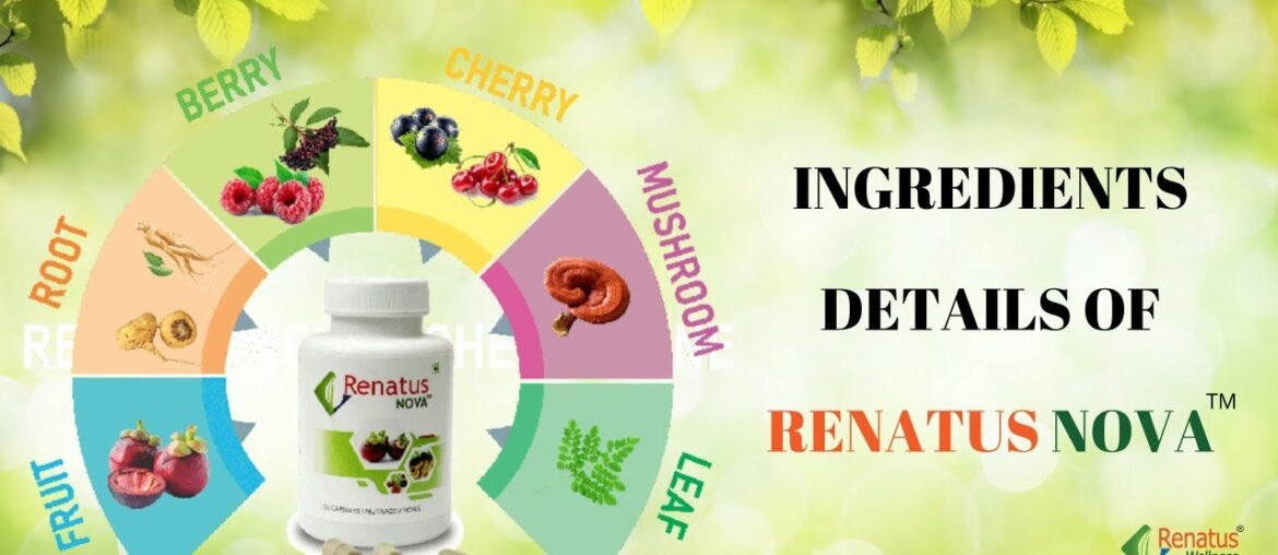 Ingredients Details of Renatus Nova | Renatus Wellness Pvt. Ltd.