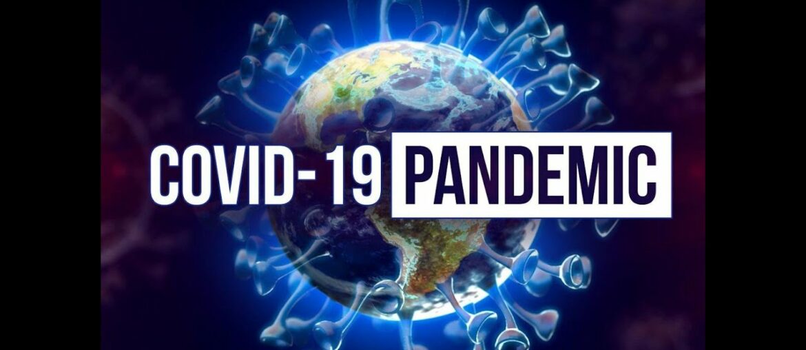 How to build Immunity against COVID -19 #Corona #Tulsi #Vasaka #Mulethi #protein #Foodsupplement