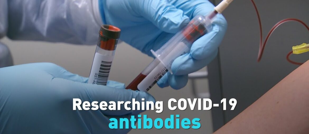 Researching COVID-19 antibodies