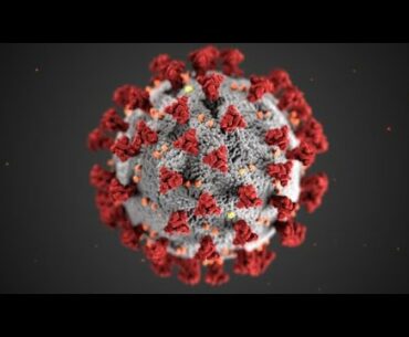 Corona Virus (COVID 19) - Why Vitamins Matter