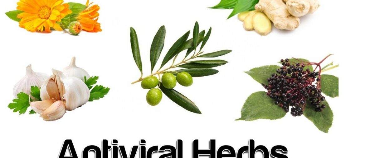 Food, Vitamins, and Herbs to Boost Your Immune System