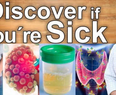 AM I SICK? - Signs and Symptoms of the Most Common Diseases and How to Treat Them Naturally