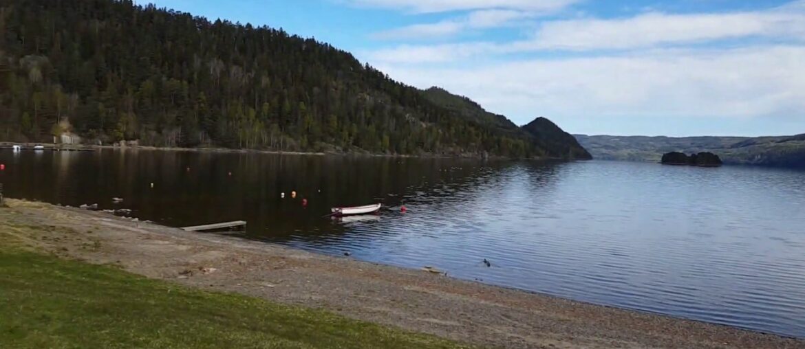 How to boost your immune system during the covid-19 pandemic?(ways of nature)