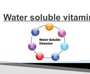 Water soluble Vitamins II Vitamin B and Vitamin C II