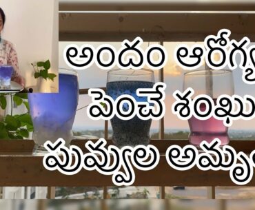 Butterfly pea multi vitamin health & beauty natural drink/kavis diary