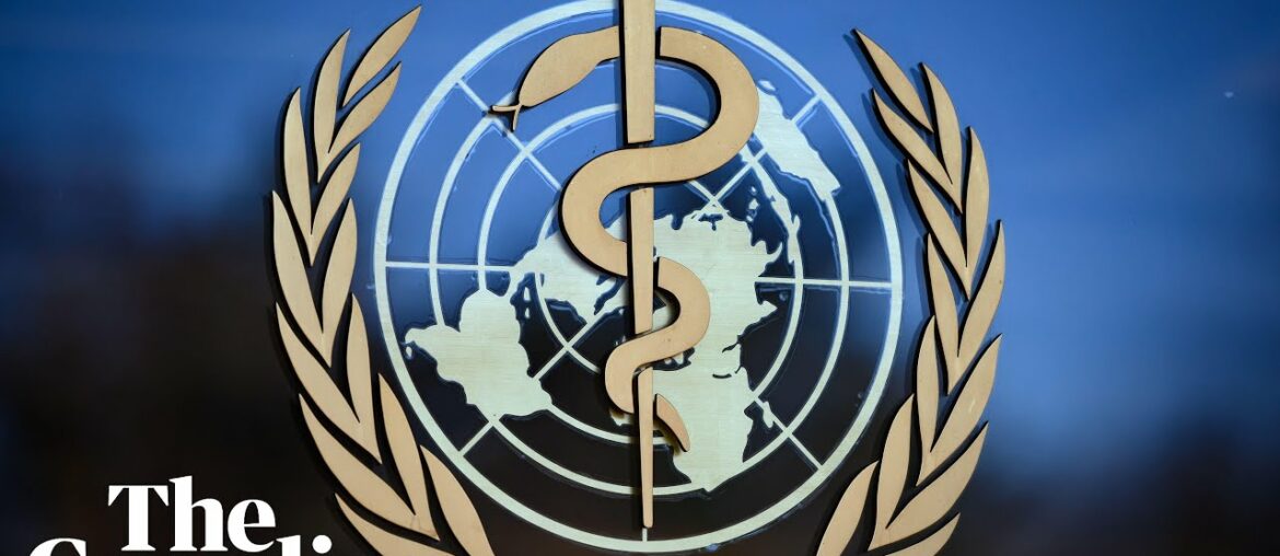 Coronavirus: WHO holds briefing on the outbreak – watch live