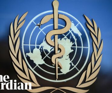 Coronavirus: WHO holds briefing on the outbreak – watch live