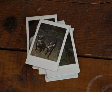 Finding Balance during Hard Times (My COVID-19 Experience)