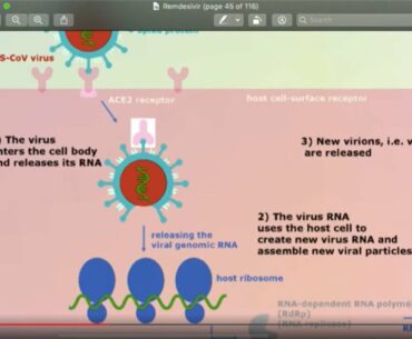 Vitamin D + C vs  Hydroxychloroquine vs Remdesivir Analysis