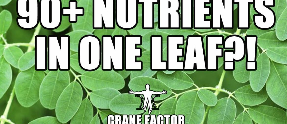 Replace your multivitamin with this incredible superfood