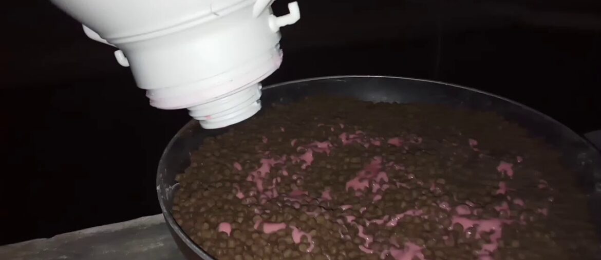 ইন হাউস হাইব্রিড মাগুরমাছের.How to use Vitamin D+  calcium supplement for In house Hybrid magur fish