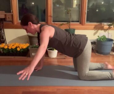 Pilates Vitamins: Thread the Needle