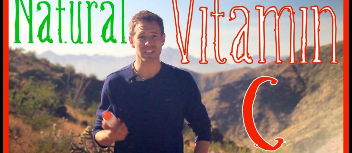 100% Natural Vitamin C Source - Most Supplements Are Synthesized!