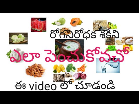 How to increase your immunity power in your body/రోగనిరోధక శక్తి /Eat these food/