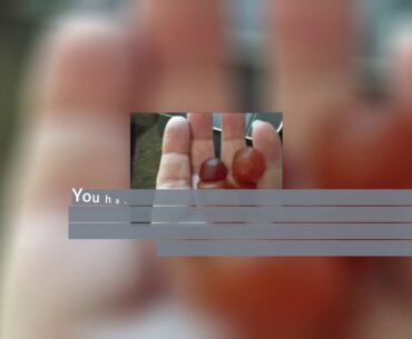 Best reviewed! SmartyPants Women's Formula Gummy Multivitamins: Vitamin C, D3, and Zinc for Imm...