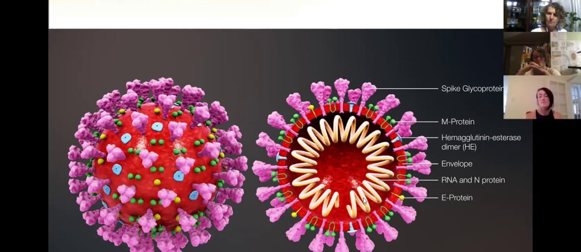 Coronavirus, Immunity & Kinesiology