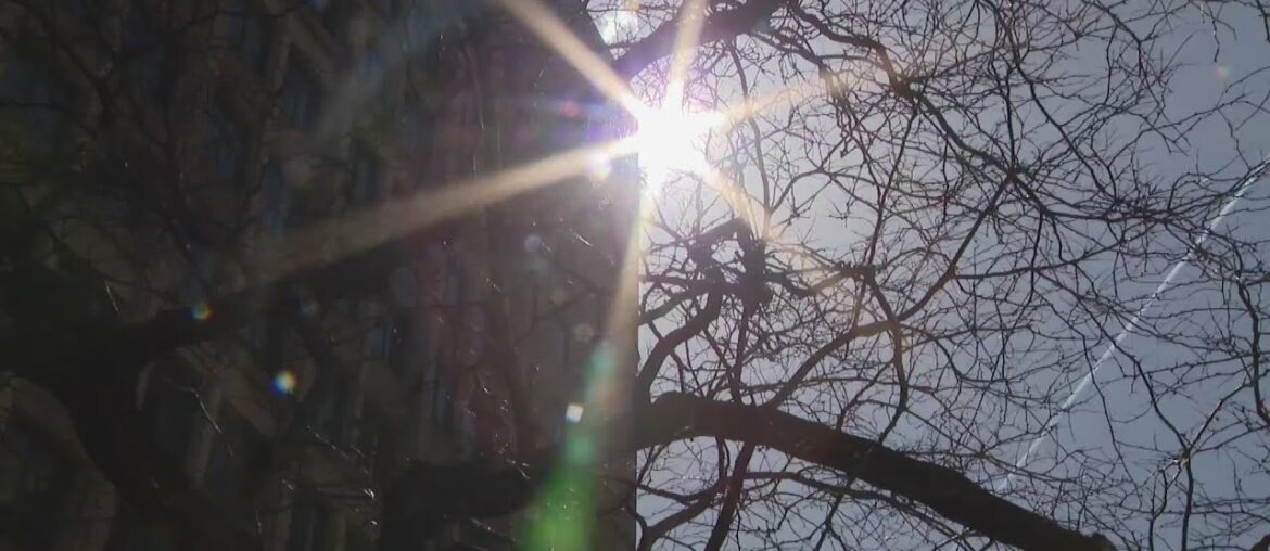 Severe Vitamin D deficiency may be connected to COVID-19 complications