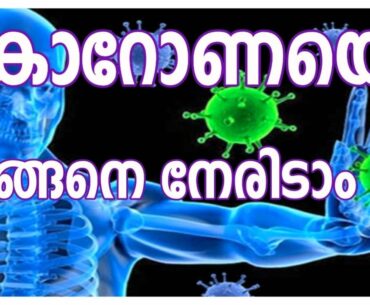 CORONA VIRUS | How to Increase Human Immunity Power | Defense from COVID 19 | Malayalam |Viral Media