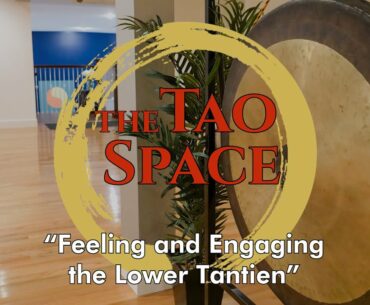 Coping with COVID-19 #11: Taoist Meditation - Feeling and Engaging the Lower Tantien