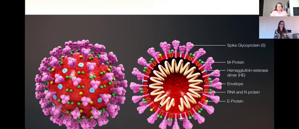 Lockdown Webinar Series Coronavirus, Immunität und Kinesiologie Coronavirus Immunity and Kinesiology