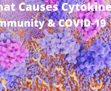 What Causes Cytokines ? Immunity & COVID-19