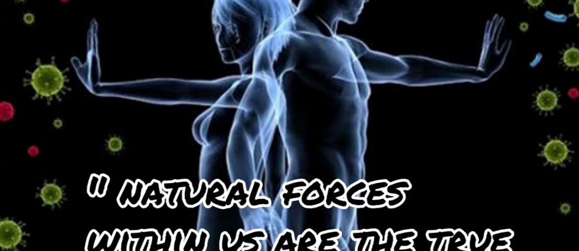 Immunity boosting foods to fight covid -19 and other diseases .