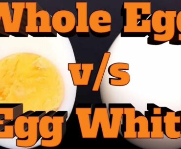 What are the Healthy Benefits of Eating Eggs & Myths About it explained in Telugu.