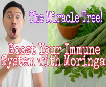 BOOST YOUR IMMUNE SYSTEM WITH MORINGA (MALUNGGAY), THE SECRET OF MIRACLE TREE!