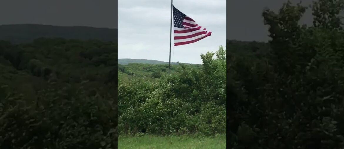 🗽Gen Flynn Signals FREEDOM with a Twitter Vid of Old Glory