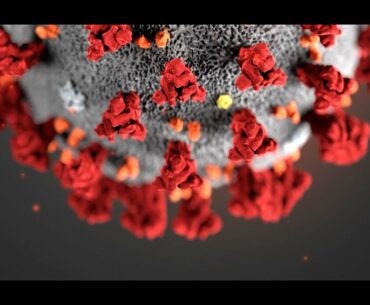 Top 10 COVID-19 Myths You Almost Believed // कोविड-19 के बारे में 10 काल्पनिक बातें // Hindi