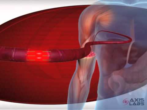 How does Creatine work? | Axis Labs