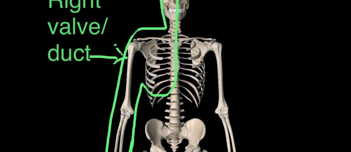 The best technique to reduce swelling and improve your vitamin D levels