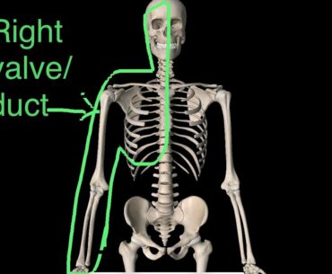 The best technique to reduce swelling and improve your vitamin D levels