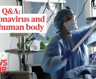 WATCH: How COVID-19 affects your body