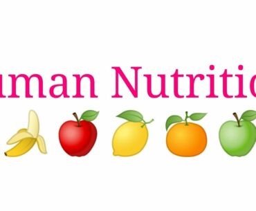 Human Nutrition