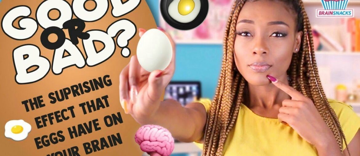 🍳 Are Eggs Bad For You? | The Truth About How Eggs Affect Your Brain | BRAIN SNACKS 🧠🧁
