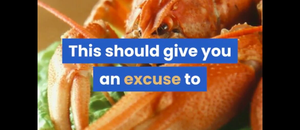 Top 10 Healthiest Foods in the World