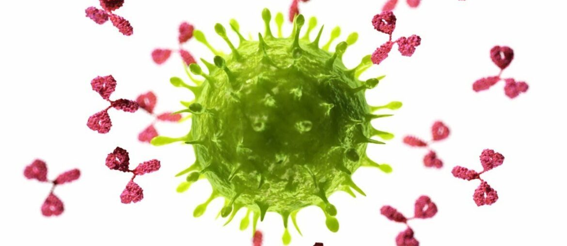 New Research: Coronavirus Antibodies In Over 99% Of Recovered Patients