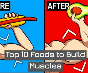 Top 10 Foods to Build Muscles