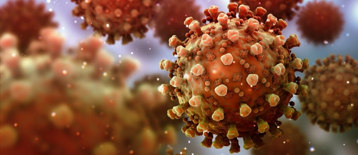 This İs How Your İmmune System Reacts To Coronavirus