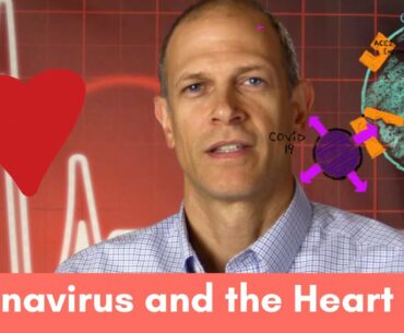 Coronavirus and the Heart: Do ACE Inhibitors and ARBs Increase Covid-19 Mortality?