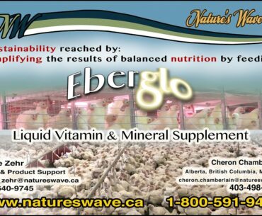 Eberglo for Poultry Webinar 2020