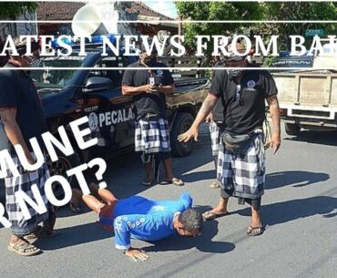 BALI NEWS THIS WEEK - Why Does Bali Appear Immune From COVID-19?