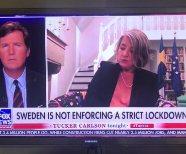 Sweden and Herd Immunity of Covid 19