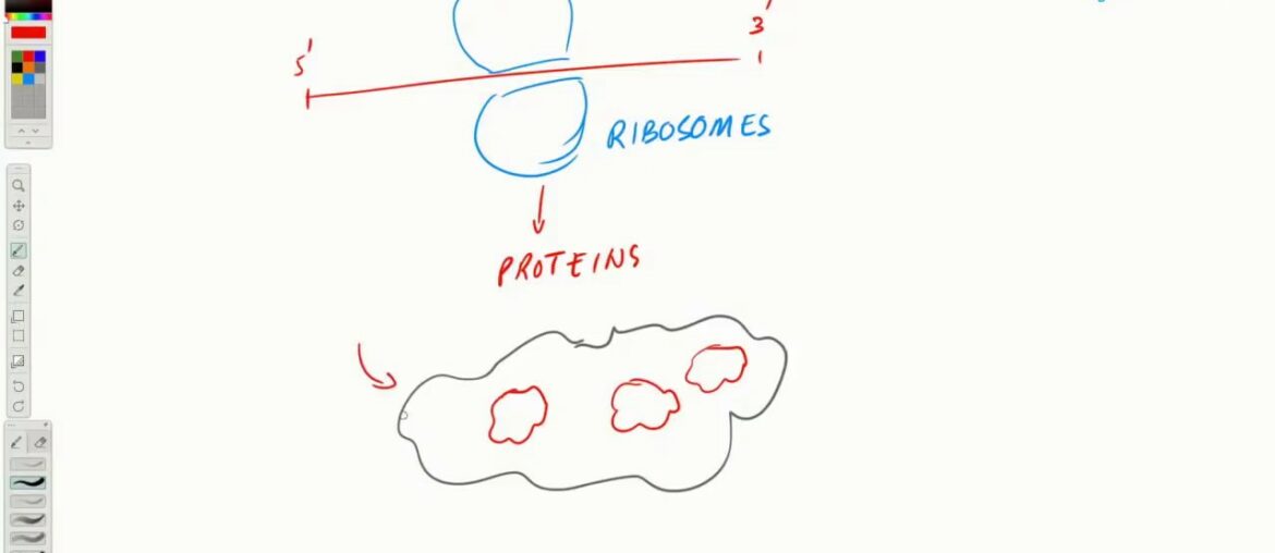 COVID-19 Insights: Remdesivir Mechanism of Action