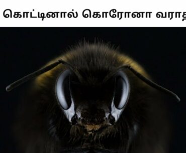 Bee VENOM | CORONAVIRUS |Kelitics