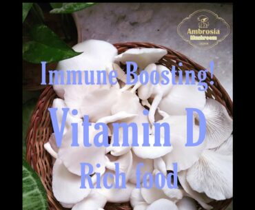 Immune Boosting Vitamin D rich food #healthylifestyle #immunity #health #healthyfood #healthyroutine